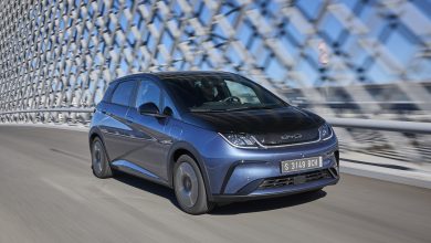 BYD Dolphin Atlantis Grey UK